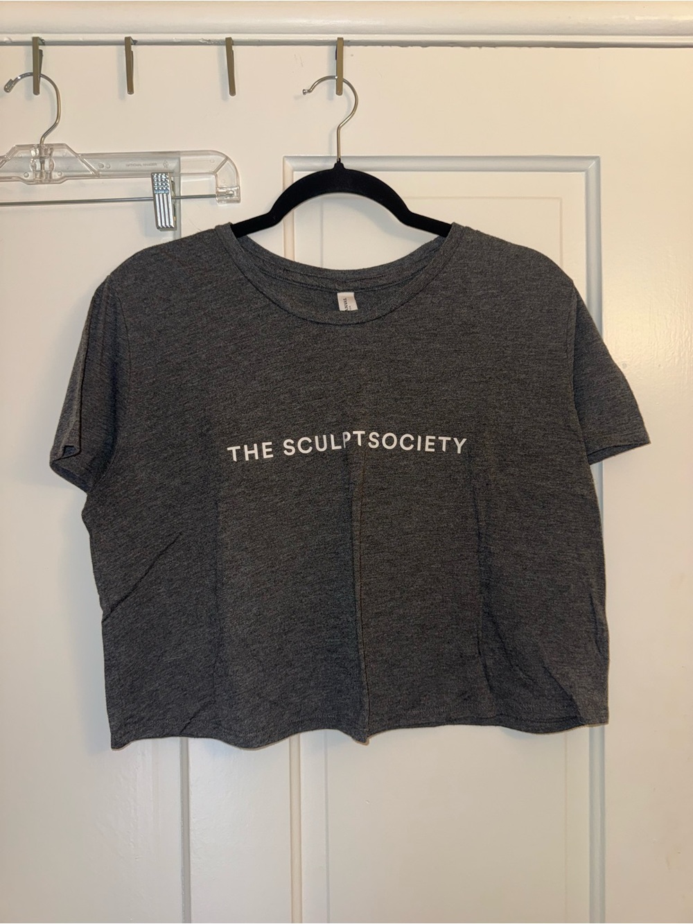 Bella Canvas Charcoal Gray Graphic Cropped Tee